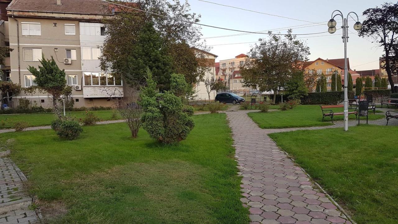 Ferienwohnung Apartament Ema Băile Felix Exterior foto